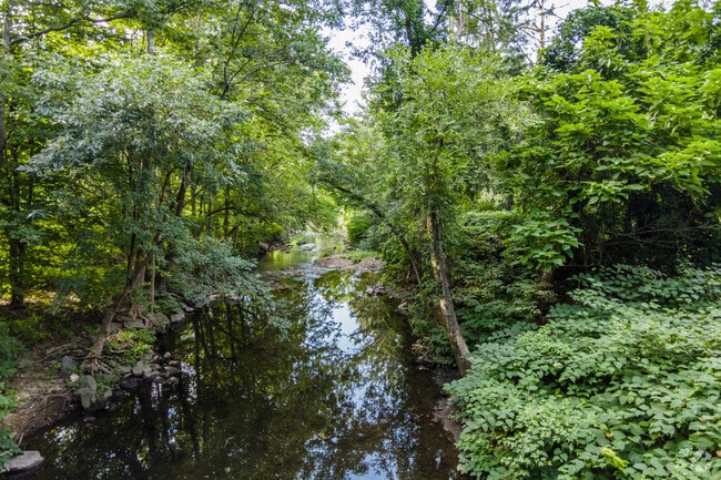 Enjoy the beautiful scenery Tookany Creek Parkway has to offer.