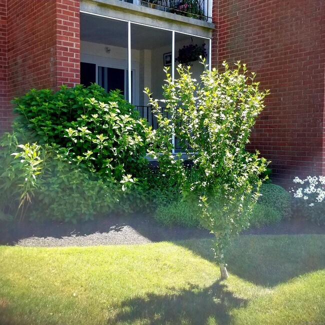 Building Photo - 185 Melba St