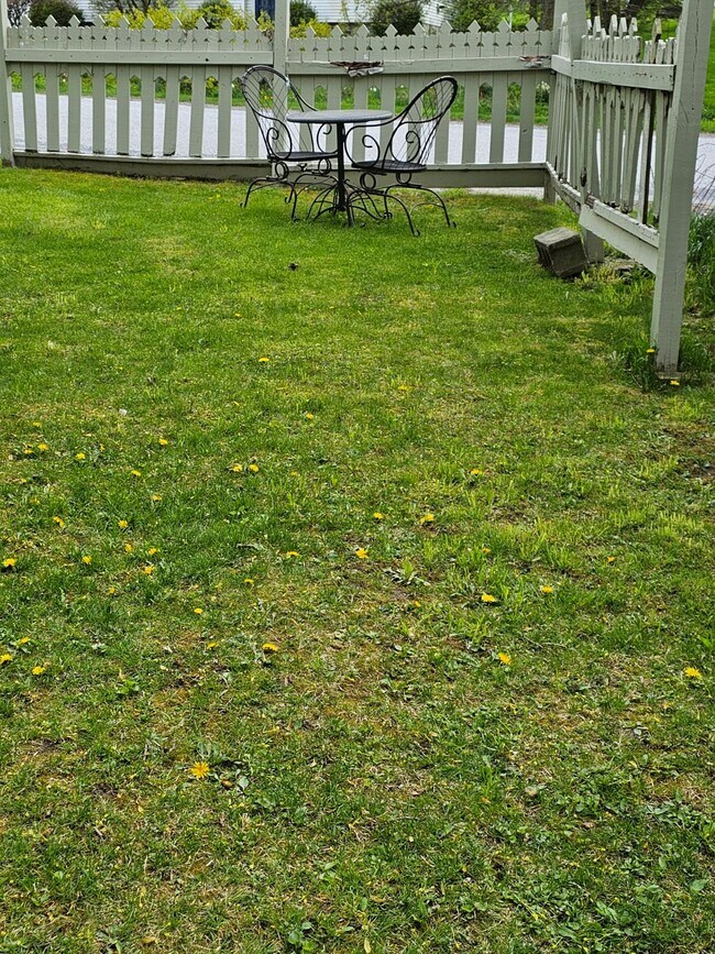 Back Yard for 2nd floor tenants - 57 Wilder Ave