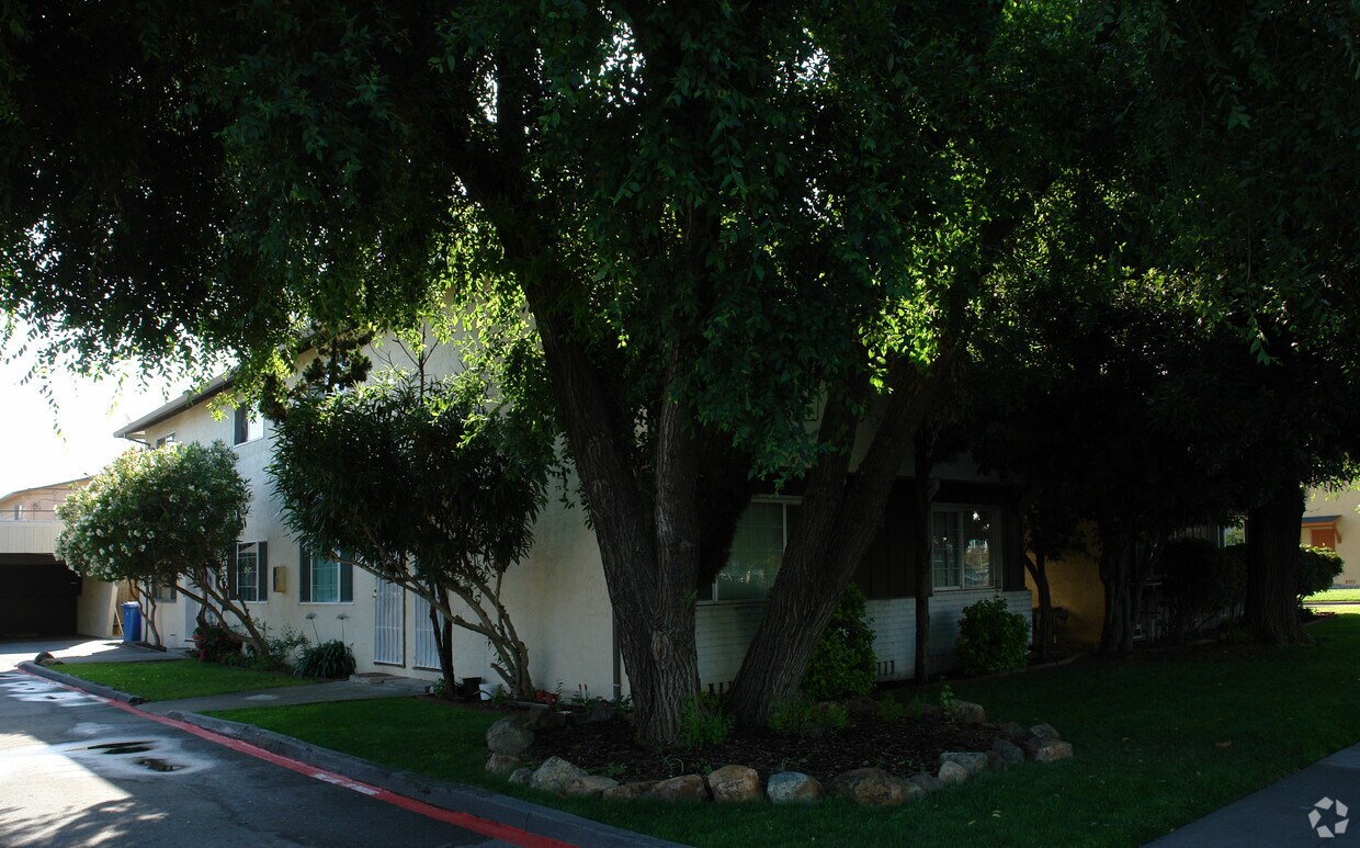 Building Photo - 1804-1816 Senter Rd