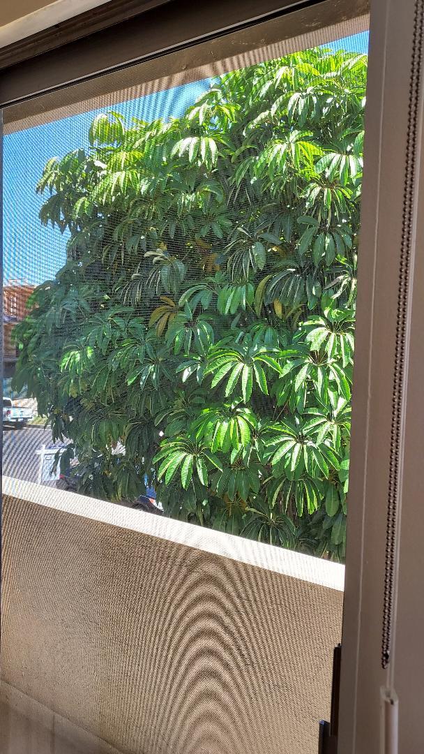 Foto del edificio - 863 S Bedford St