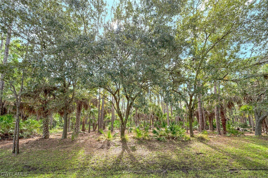Foto principal - 6020 Autumn Oaks Ln