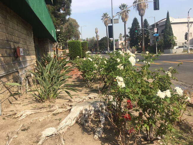 Foto del edificio - 303 Commonwealth Ave