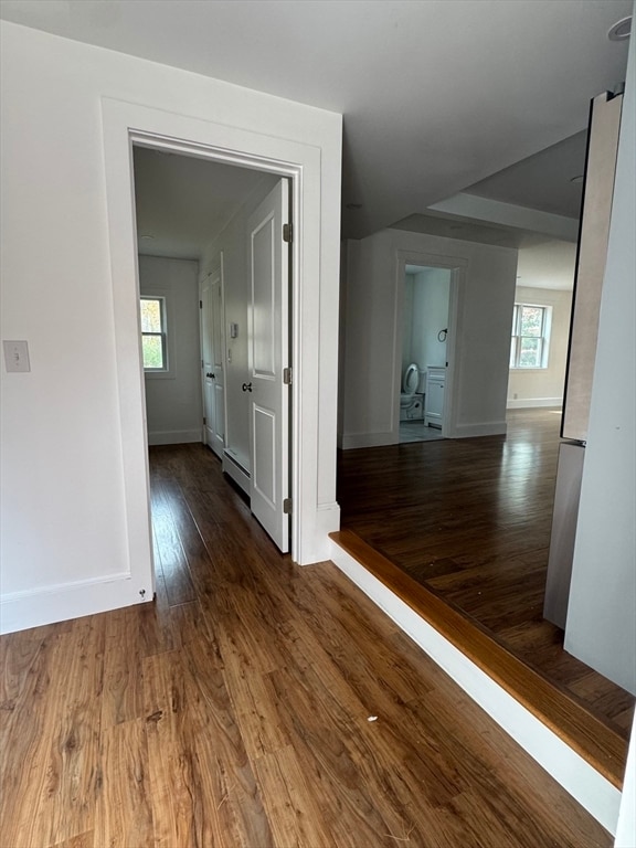 Building Photo - 35 Canedy St