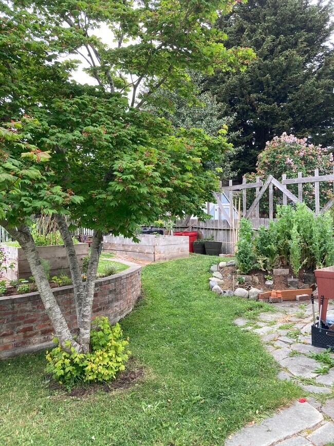 Springtime! - 735 Tyler St
