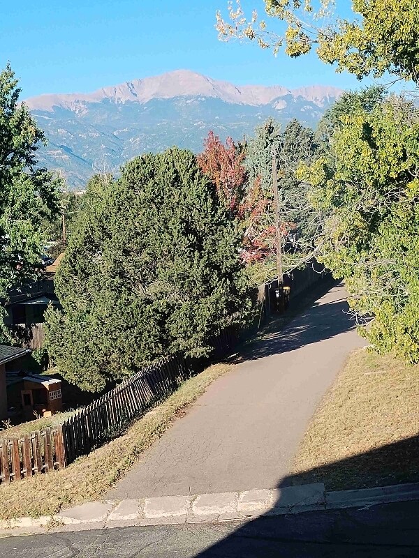 Foto del edificio - 3803 Windsor Ave