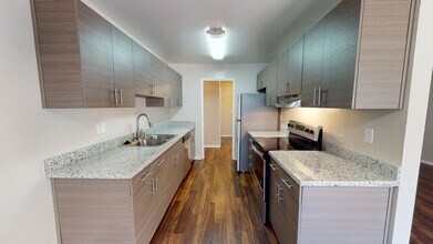 Interior Photo - Birch Creek