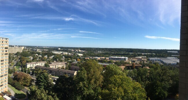 Vista diurna desde la ventana del estudio. - 309 Yoakum Pkwy