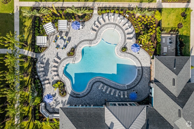 Pool - VIVE Apartments - Fort Myers, FL
