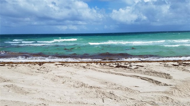 Foto del edificio - 8877 Collins Ave