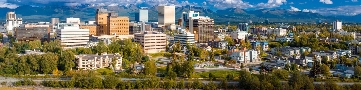 Anchorage city image