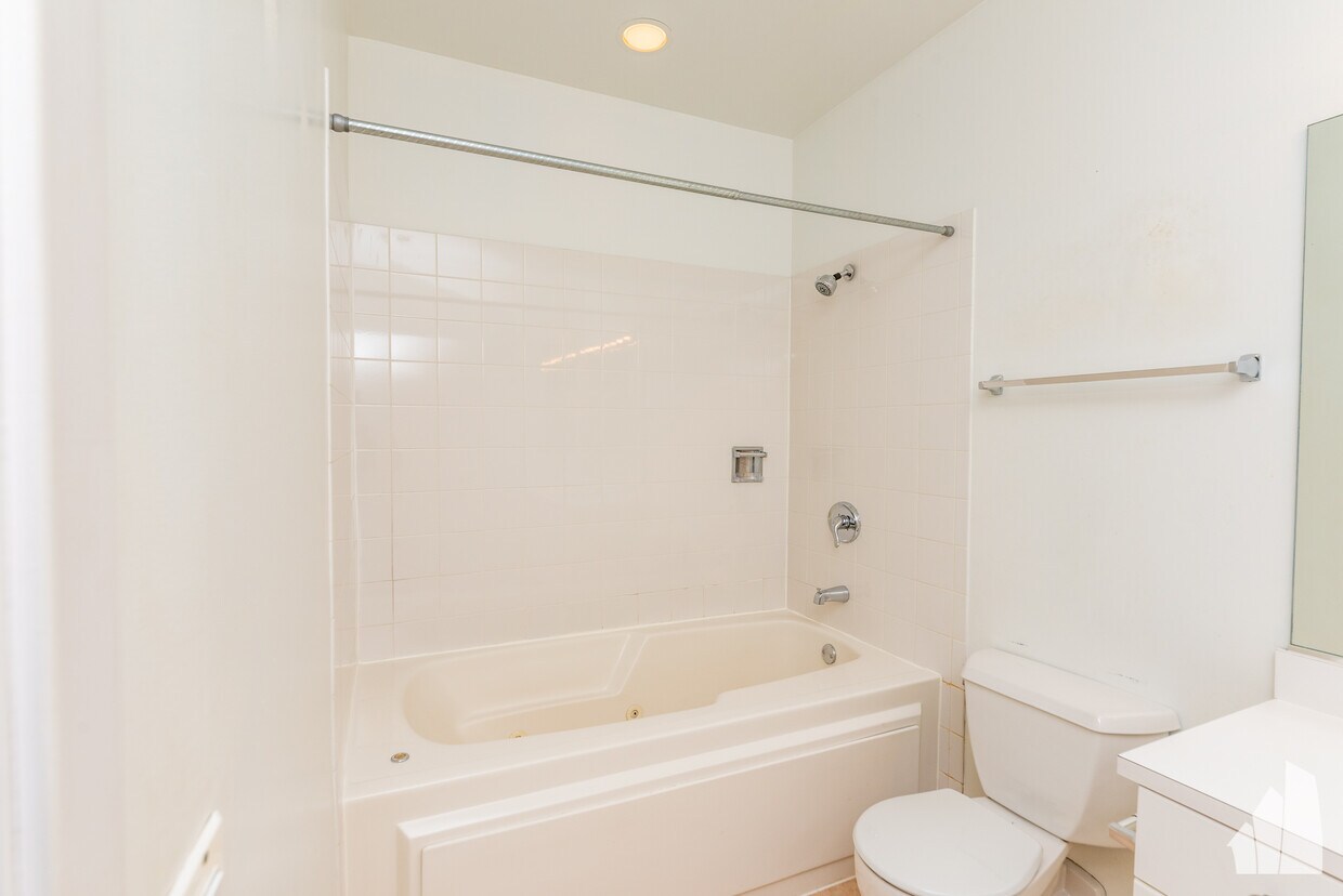 375 W Erie St Unit 508, Chicago, IL 60654 Condo for Rent in Chicago