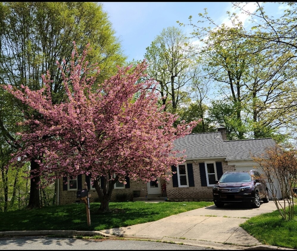 11202 Willow Ct, Clinton, MD 20735 House Rental in Clinton, MD