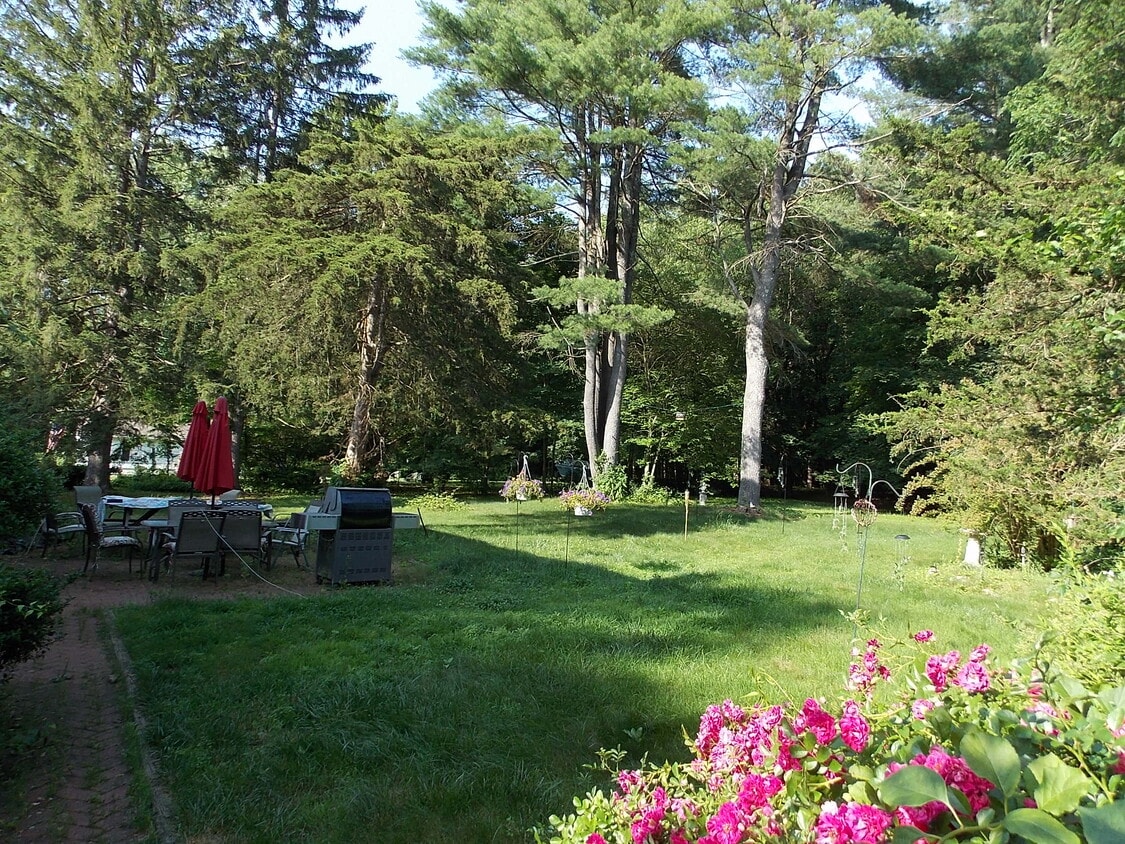 Patio, Grill and 1 acre level lot - 54 Hungary Rd