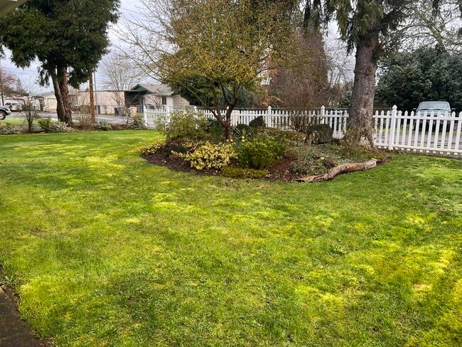 View from Front Porch - 430 Douglas St SE