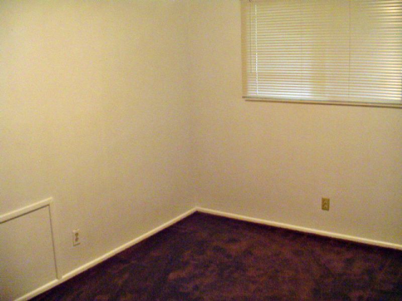 Foto del edificio - East Springfield large duplex