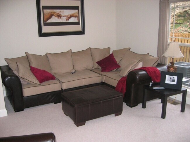 Foto del edificio - 1033 Woodbury Falls Dr