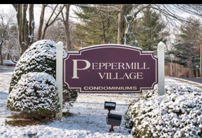 Foto del edificio - 40 Burgundy Hill Ln