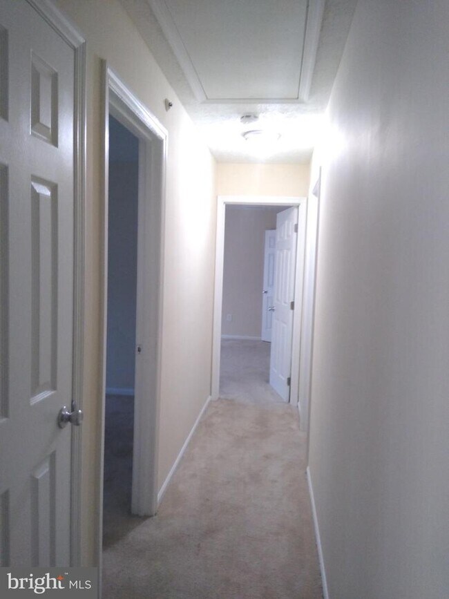 Foto del edificio - 903 Woodbridge Ct