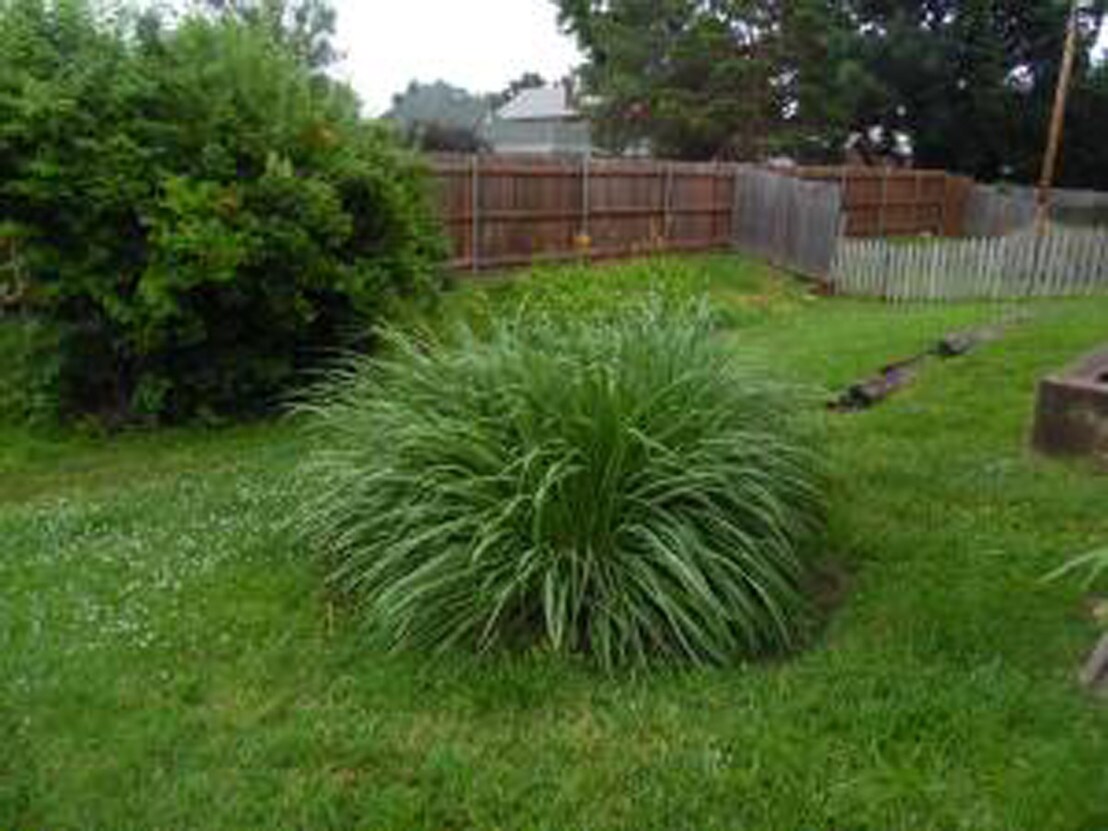 Primary Photo - 615 Highland Cir