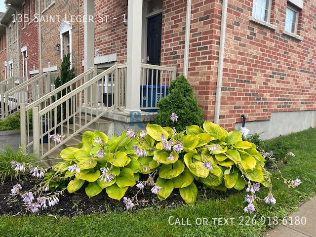 Primary Photo - 135 St Leger St