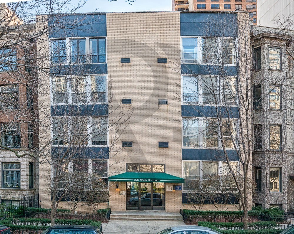 1425 N Dearborn St Unit B1 Chicago Il 60610 Apartment For Rent Primary Photo 1425 N Dearborn St