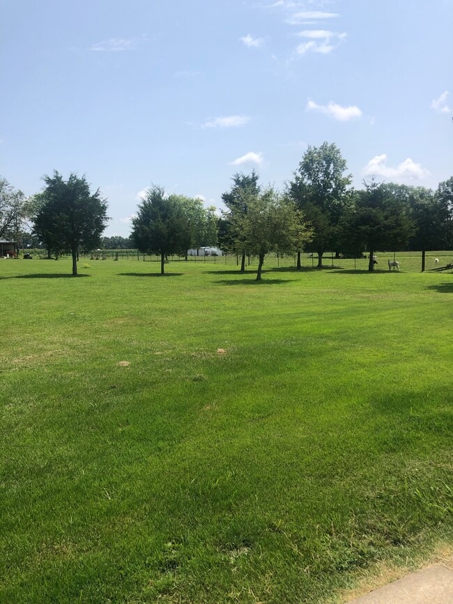 Building Photo - 11824 E Cypress Dr