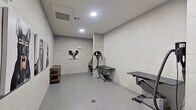 This single-level pet grooming space is designed with both functionality and cleanliness in mind. The room is finished throughout with large-format light grey wall tiles and smooth grey floor tiles, creating a hygienic, easy-to-maintain environment. Recessed ceiling vents and flush-mounted lighting provide consistent climate control and bright, even illumination throughout the space.

The grooming area is equipped with multiple stainless steel workstations, including an adjustable-height grooming table fitted with a professional-grade dryer arm and hose, as well as a dedicated wash basin station with plumbing fixtures. A floor drain is centrally positioned, facilitating efficient cleanup. A rustic industrial wood-and-metal shelving unit provides storage for grooming supplies.

The space features a private entrance through a solid grey door, ensuring secure and easy access. Decorative framed photographic prints of dogs displayed along the walls add a lively, pet-friendly character to an otherwise utilitarian setting. The layout is open and spacious, allowing comfortable movement around the equipment. Overall, the space balances a professional, sanitary design with welcoming aesthetic touches suited to a dedicated pet care facility.