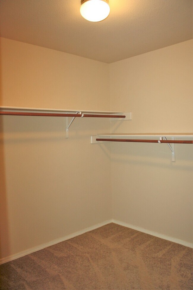 2601 Steffi Graf Dr, El Paso, TX 79938 House Rental in El Paso, TX