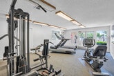 Located in Chino, CA, this dedicated fitness center offers a compact yet functional exercise space designed to support a well-rounded workout routine. The room features carpeted flooring throughout, light gray walls, and a textured ceiling fitted with wood-trimmed fluorescent light fixtures that provide bright, even illumination across the space.

The exercise room is equipped with a variety of cardio machines, including a treadmill, elliptical trainer, stationary bike, and a rowing machine, all thoughtfully arranged to maximize usability within the space. A multi-station strength training machine by Precor anchors one side of the room, accompanied by a weight bench, offering options for resistance and strength-based workouts. Fitness reference posters mounted on the walls add a functional, informative touch.

A large wall mirror runs along one side of the room, visually expanding the space and allowing users to monitor their form during exercise. Natural light enters through windows and a set of glass-paneled double doors at the front of the room, which also provide direct outdoor access and views of the surrounding greenery. Ventilation is supported by ceiling vents, ensuring a comfortable environment during workouts. The overall layout is clean, practical, and well-maintained, making it a convenient amenity for residents.