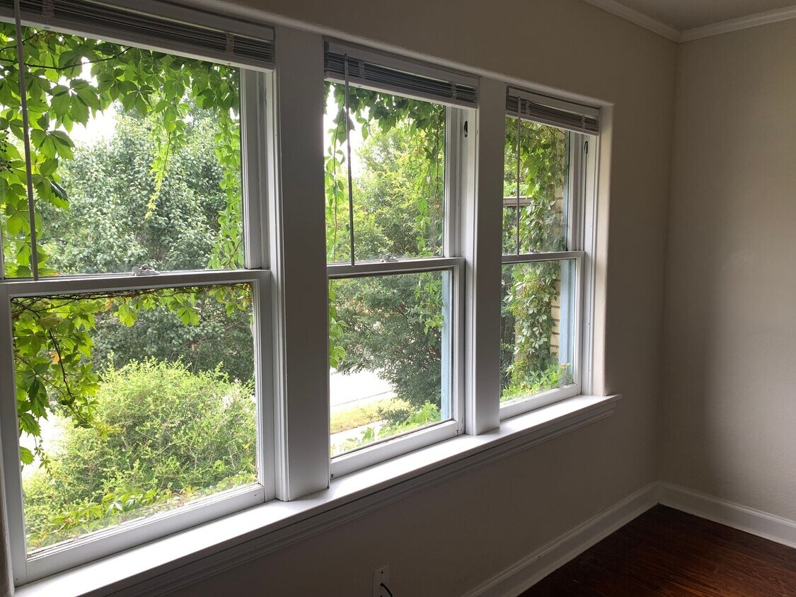 Foto principal - One Bedroom in Jefferson Park