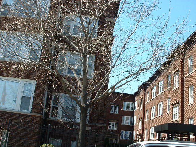 Primary Photo - 5316-5318 N Winthrop Ave