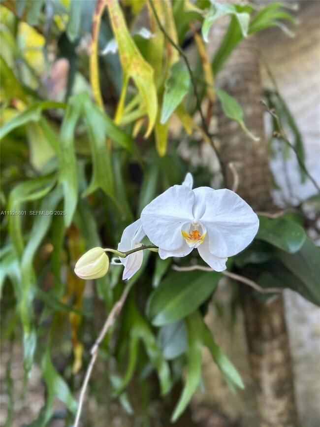 Building Photo - 2842 Coconut Ave