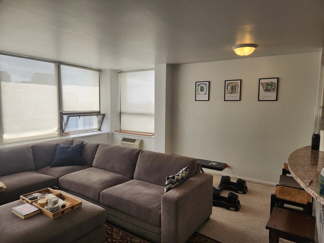 Spacious Living Room - 1360 N Sandburg Terrace