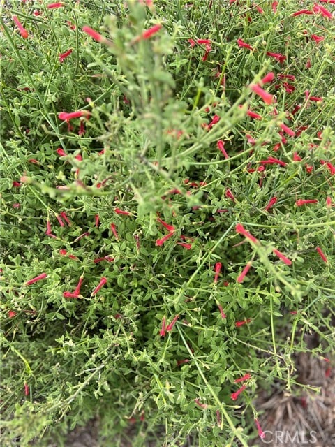 Building Photo - 45766 Altree Ct