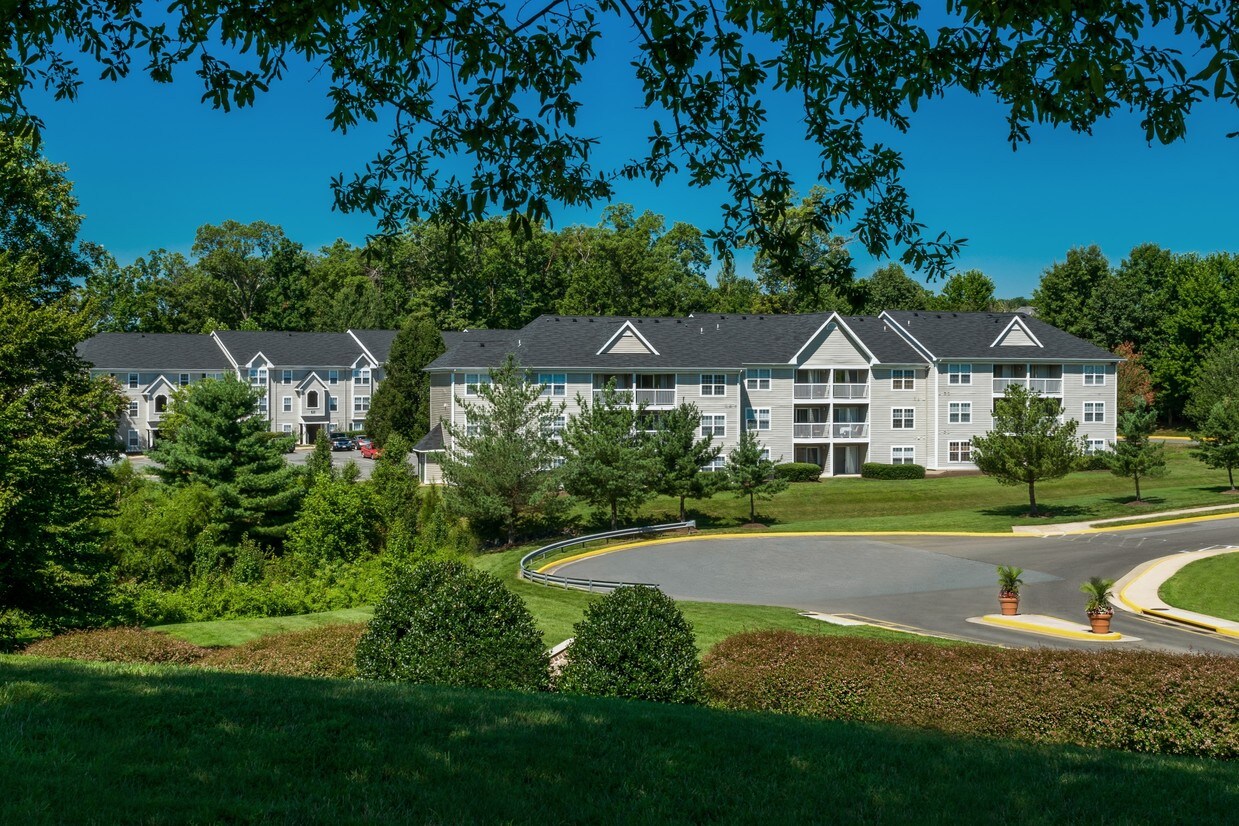 Arbor Grove Rentals Stafford, VA