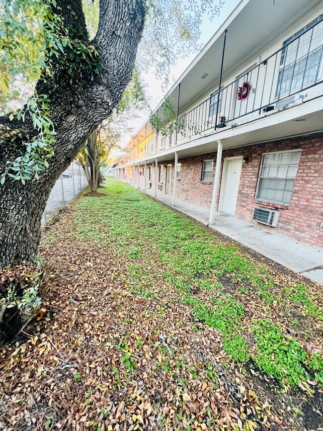 Foto del interior - Pied Piper Apartments (Studio/1 Bath)