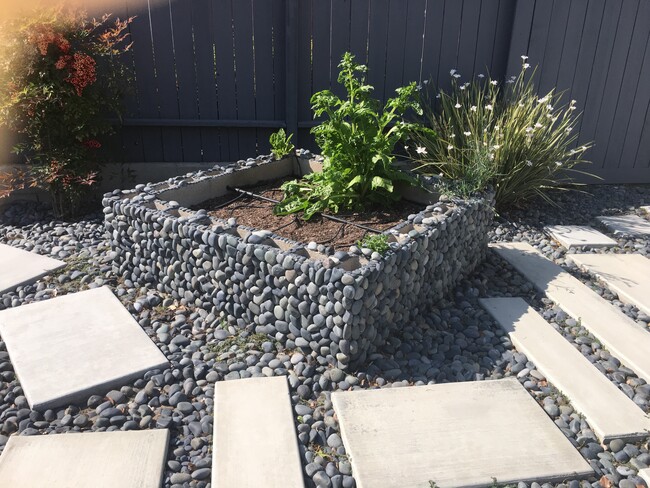 Zen front yard - 4074 Huron Ave