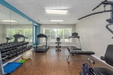 Located in Prattville, Alabama, this fitness center offers a well-equipped exercise space designed to support a variety of workout routines. The room features durable wood-look flooring throughout, a textured ceiling with flush-mounted fluorescent lighting, and neutral-toned walls accented by a bold teal feature wall. A large floor-to-ceiling mirror along one wall visually expands the space and provides functional feedback during workouts.

The cardio section is outfitted with two treadmills, a stationary bike, and an elliptical trainer, while a dedicated free weights area includes a full dumbbell rack and a stability ball for varied training. A multi-station cable machine and a weight bench provide options for strength training, and a wall-mounted flat-screen television adds convenience for entertainment during workouts. Cleaning supplies and sanitation essentials are thoughtfully stationed near the entrance, promoting a hygienic environment.

Multiple windows along the walls invite ample natural light and offer views of the surrounding outdoor greenery. A glass-panel door provides additional brightness and convenient access to the exterior. The overall design of the fitness center is practical and functional, making it a well-rounded amenity for daily exercise needs.
