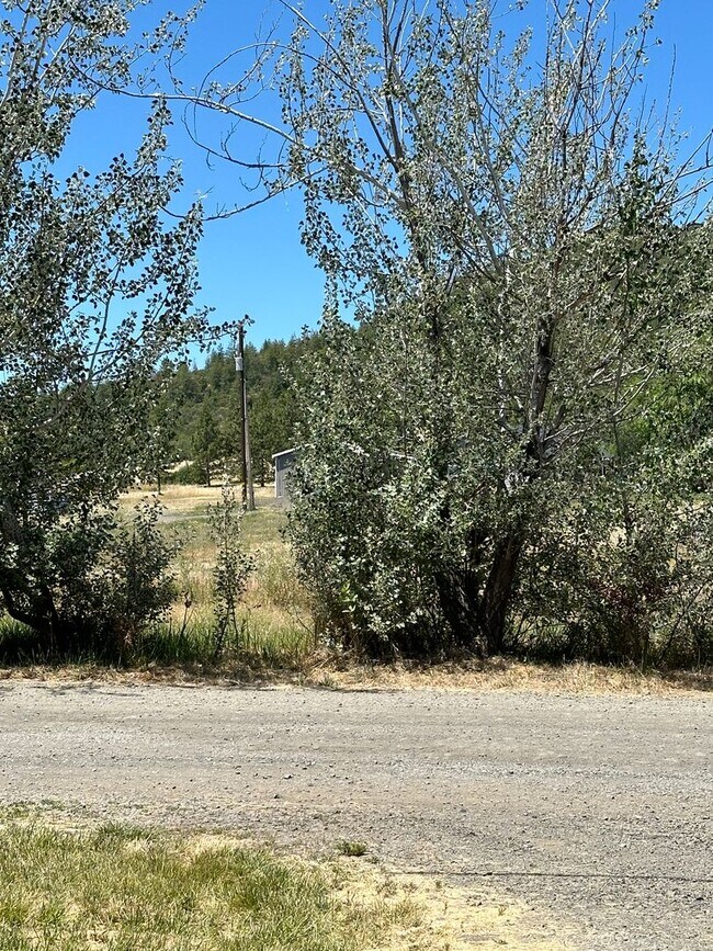 Building Photo - Beautiful Ranch Style Home