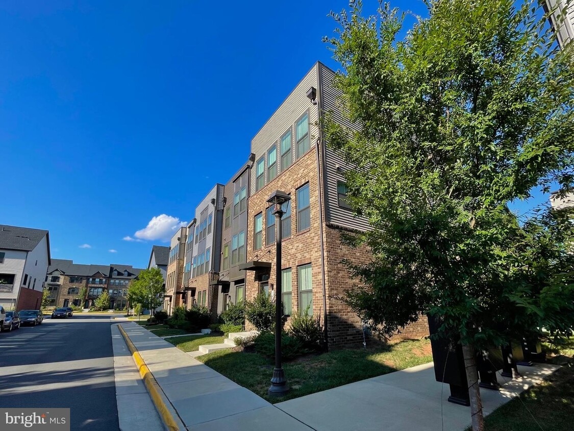 22310 Seabring Terrace, Brambleton, VA 20148 Townhome Rentals in