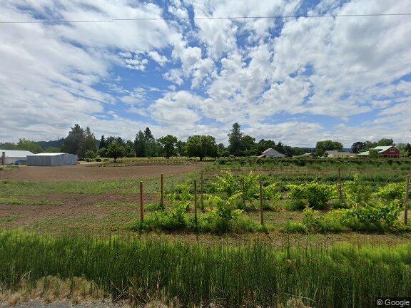 Street View - 38814 Jefferson Scio Dr