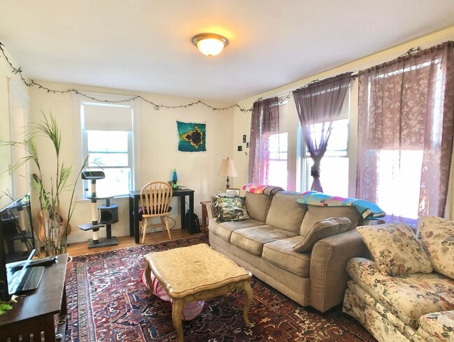 Foto del edificio - 19 Allston St