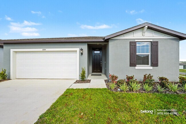 Building Photo - 31599 Wild Grape Ln