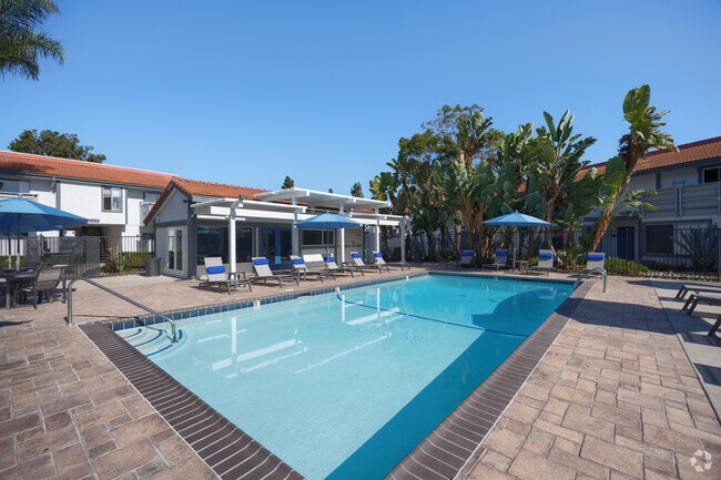 Piscina - Stone Arbor Apartments