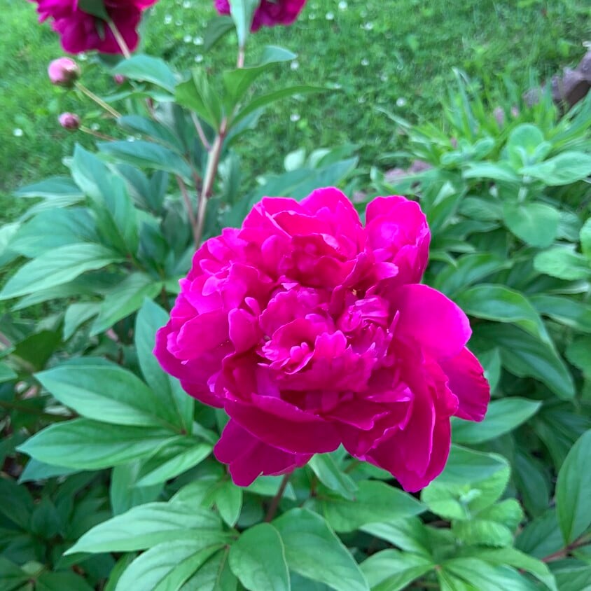 Foto principal - 5208 Heming Ave