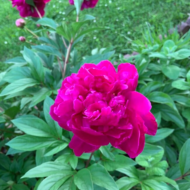 Photo - 5208 Heming Ave House