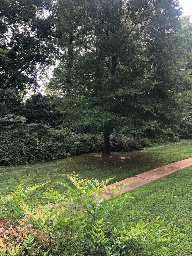 Greenville 2BD/1BA, 896SF - Greenville 2BD/1BA, 896SF