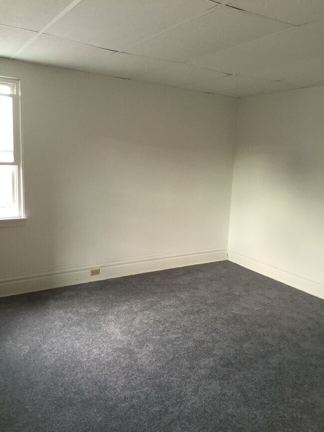 Large Bedroom with new carpets - a lot of natural light - 4517 Butler St