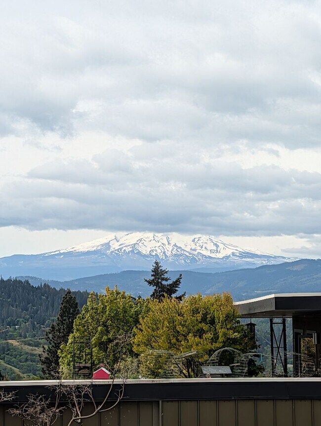 Foto del edificio - 1 Bedroom 1 Bath | White Salmon, WA